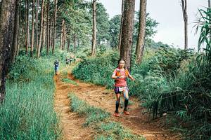 BIB: 
                            <button type="button" onclick="openModal(25658920)" class="btn btn-primary btn-sm float-right btn-popup" data-toggle="modal" data-target=".modal-high-quality">
                        <i class="fas fa-shopping-cart"></i> Add to Cart
                    </button>
                                            <button type="button" onclick="isThisMe(25658920, true)" class="btn btn-success btn-sm float-right btn-popup btn-isme hidden" data-toggle="tooltip" data-placement="bottom" title="นี่คือรูปของคุณใช่ไหม คลิกที่นี่เพื่อเอาเข้าอัลบั้ม">
                        <i class="fas fa-plus"></i> Add to album
                    </button>
                    <button type="button" onclick="isThisMe(25658920, false)" class="btn btn-warning btn-sm float-right btn-popup btn-isnotme hidden">
                        <i class="fas fa-ban"></i> Remove from album
                    </button>